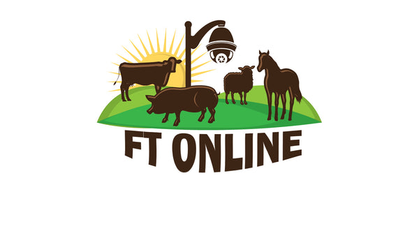 FT Connect Online